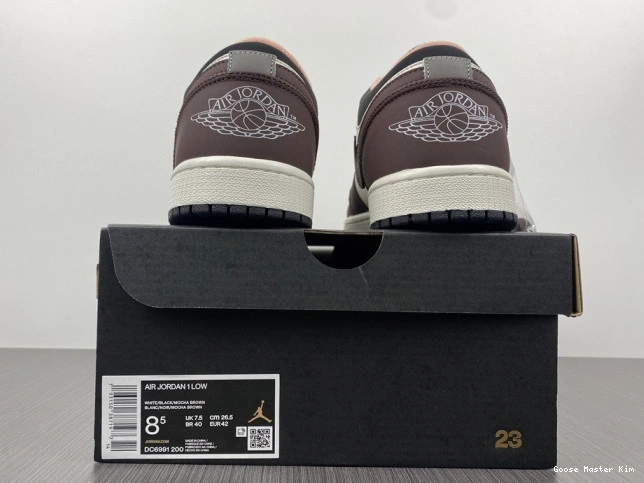 1 DC6991-200 Air Mocha Low Jordan 0821